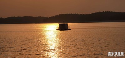 日常隨拍之(金波)