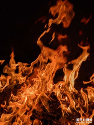 期待春天 期待所有美好