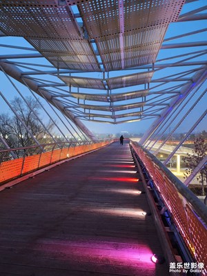 【網(wǎng)紅打卡地】生態(tài)公園夜景