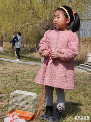 【網(wǎng)紅打卡地】+濕地公園