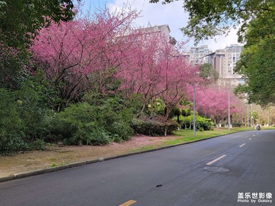 2023，春歸……