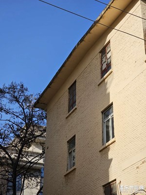 又是陽光明媚的一天