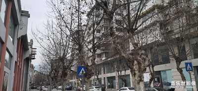 【網(wǎng)紅打卡地】+老街道