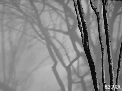 【光影記事】歲月留痕