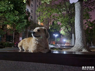 【美麗夜景】家門口的片刻光景