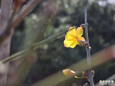 【光影記事】春暖花開(kāi)