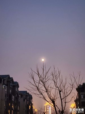 【光影記事】+十五的月亮