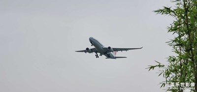 以前隨拍 發(fā)出來。紀(jì)念一下