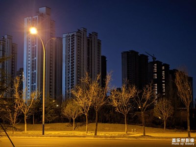 【光影記事】歸家夜途