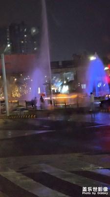 花花世界花花心