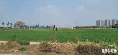 像一個(gè)睡城 天氣還行 隨拍隨拍隨拍隨拍