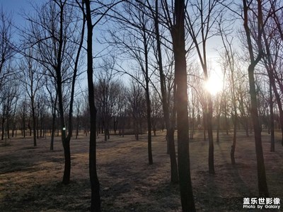 【光影記事】感謝陽(yáng)光