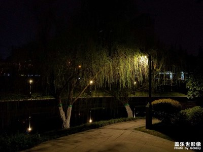 【美麗夜景】+夜公園