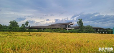 天氣好 手機(jī)庫存 收割的時(shí)候