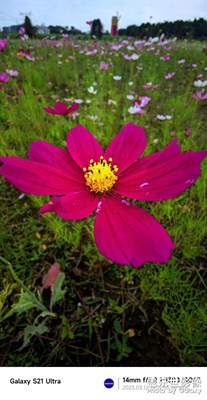 愿人隨春好，春與人宜