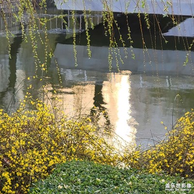 【光影記事】INFP