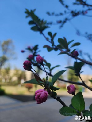 世事千帆過(guò)，前方終會(huì)是溫柔和月光