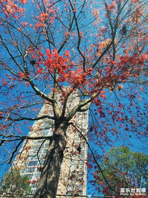 【光影記事】+ 午后陽光，感知春天！