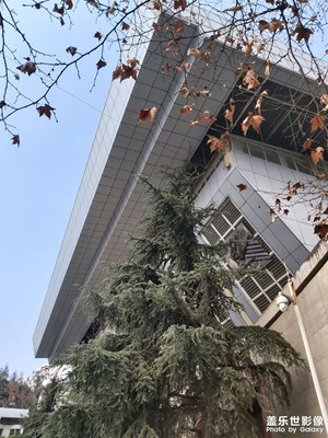 【光影記事】+陽光明媚