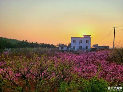 【光影記事】+日光