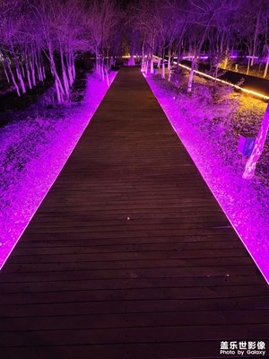 【美麗夜景】漫步公園棧道
