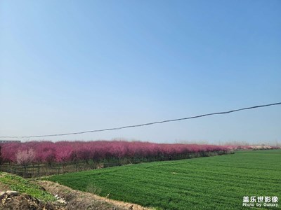 【春之序曲】+里外可見(jiàn)