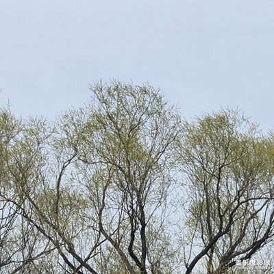 春之序曲】+早春