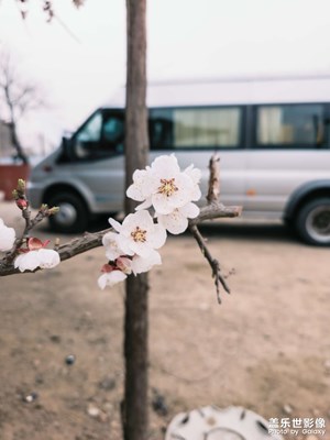 發(fā)現(xiàn)初春