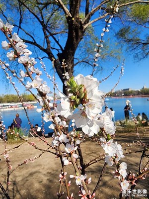 玉淵潭公園