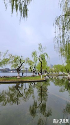 春風(fēng)又綠江南岸