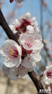 周末再次面向大海，春暖花開