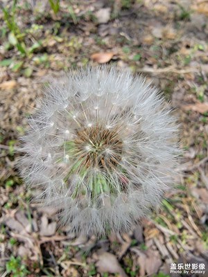 【春之序曲】沙灘公園