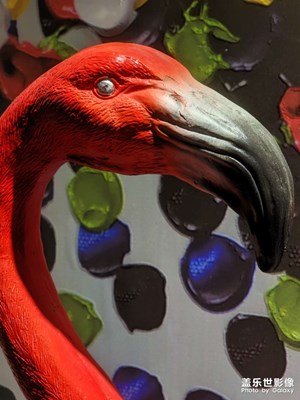 [春之序曲]+夜景壓光不錯(cuò)