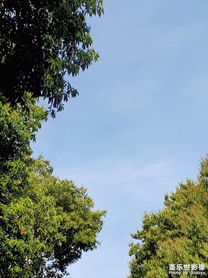 【春之序曲】生機勃勃的春天