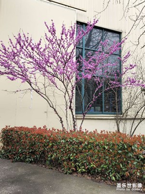 s23u2億像素拍照