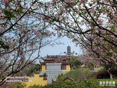 來(lái)日總是千千闕歌