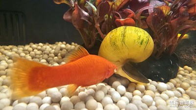 【生活的色彩】+假日里