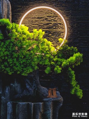 被好風(fēng)景收買