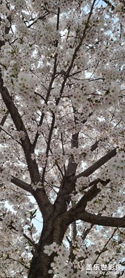 進(jìn)來(lái)喝茶