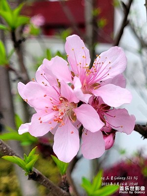 發(fā)一組以前拍的圖片