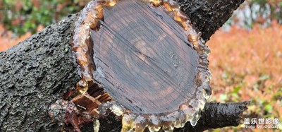 春雨滋養(yǎng)大地