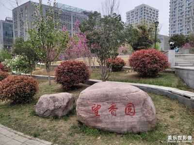 【生活里的色彩】+街角小公園