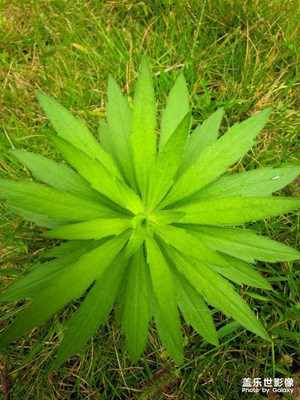 【生活的色彩】+日常