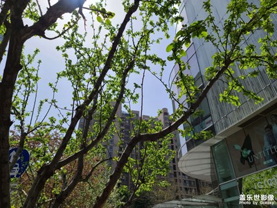 好天氣隨手拍分享 