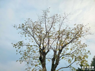 【生活的色彩】+春天的氣息