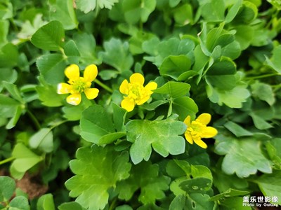 【生活的色彩】+春色