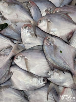 【生活的色彩】+買菜