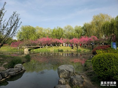 s23u相機確實不錯