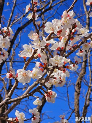 新手機(jī)測(cè)試隨便拍的不喜勿噴