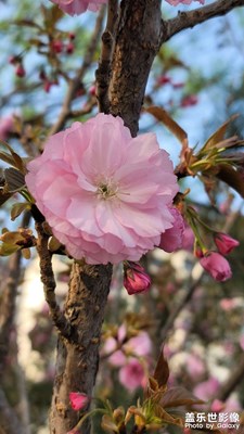 三月再見，四月你好